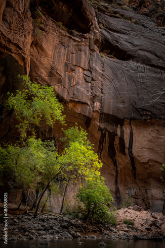 The Narrows, Zion National Park, Utah