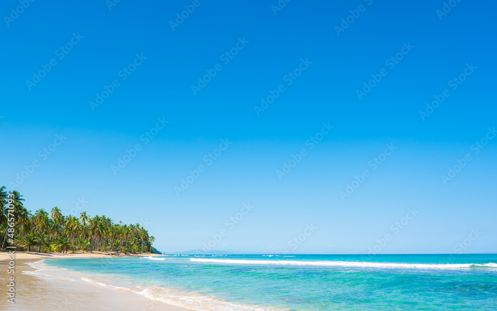 Wild island with white sandy beach and green palm trees. Beautiful beach in the Atlantic Ocean. Azure Caribbean Sea and palm trees. Landscape of the island beach. Journey to a tropical paradise.