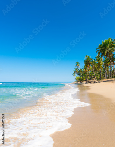 Palm sandy beach with turquoise sea wave and white foam. Green palm trees against a bright blue sky. Summer sunny seascape.