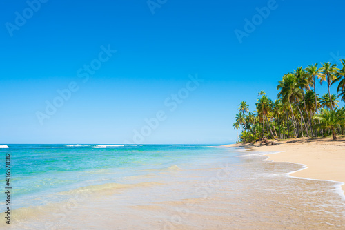 Fototapeta Naklejka Na Ścianę i Meble -  Paradise beach on the palm islands of Portugal. The best beaches in the world. Sea beach landscape. Journey to a tropical paradise. Sunny summer day on an exotic peninsula.