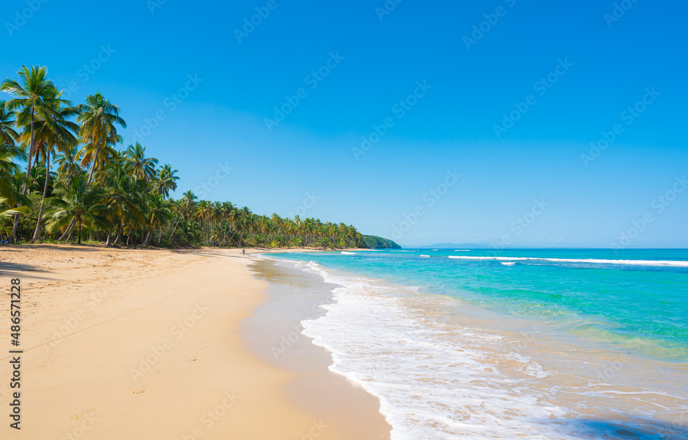 Beautiful view of the Brazilian beach. Turquoise sea waves on white sand under open blue sky. Palm jungle along the coastline. Bright postcard with a seascape.