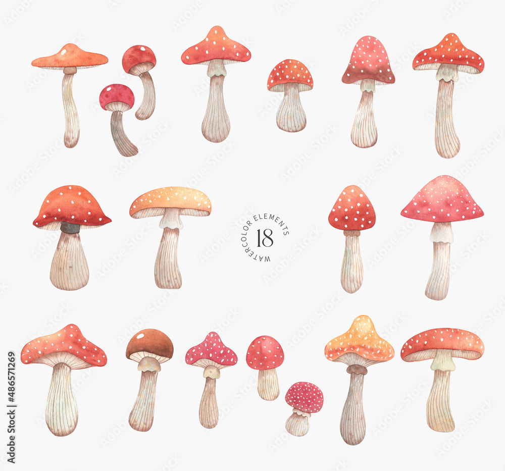 Watercolor fly agaric mushrooms set. Hand drawn summer botanical illustration for posters, greeting cards, stickers and other.