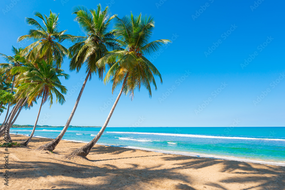 Sea sandy beach with palm trees on a sunny summer morning. Beautiful shadows of palm trees on white sand. Bright turquoise sea waves. View of the sea background.