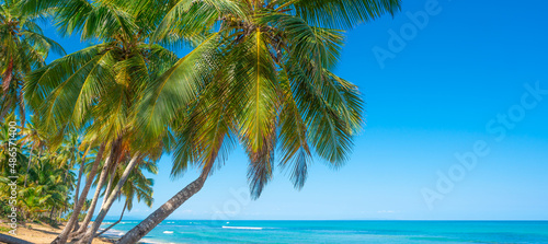Fototapeta Naklejka Na Ścianę i Meble -  Long green leaves of coconut palms against a bright blue sky. Palm white sandy beach and blue ocean waves off a beautiful tropical coastline. Travel and holidays in the Dominican Peninsula.