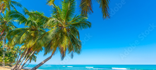 Tropical sea beach with beautiful palm trees. Green coconut palms against the blue open sky. Turquoise waves of the ocean near the sea coast. Bright nature of the sea.