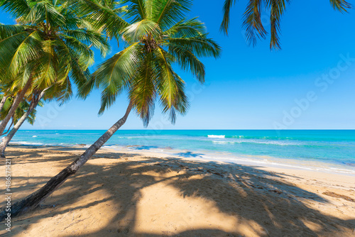 Green coconut palms on the white sand of an Indonesian beach. Shadows on the white sand of the tropical coast and turquoise sea waves. Bright blue sky over a beautiful seascape on a sunny morning.