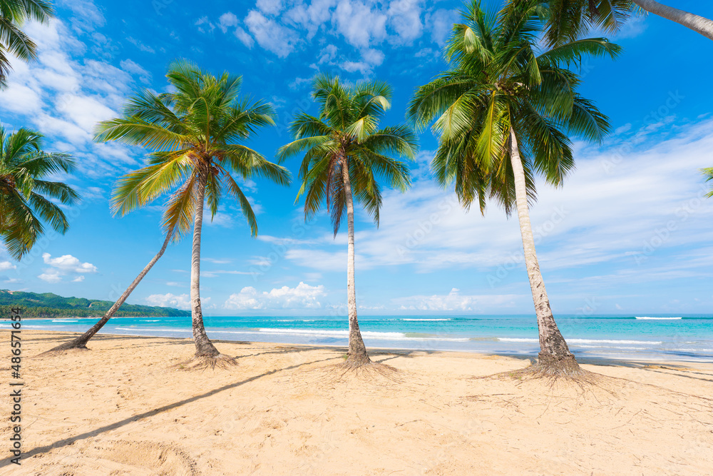Obraz premium Palm sandy beach in sunny weather. Blue cloudy sky over beautiful palm trees, white sand and turquoise sea. Summer tropical landscape for a great vacation.
