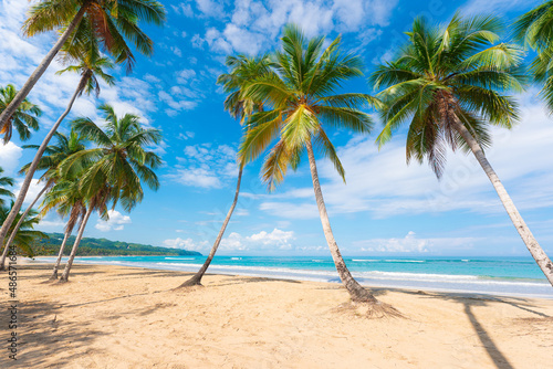 Tropical seascape postcard. Coconut palms on the white sand of a Caribbean beach. Blue sky background with white clouds. Marine nature of Central America.