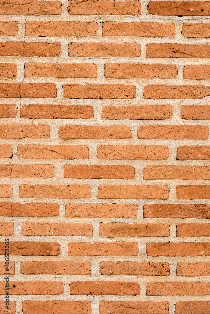 Fototapeta premium Beautiful background and texture formed by bricks