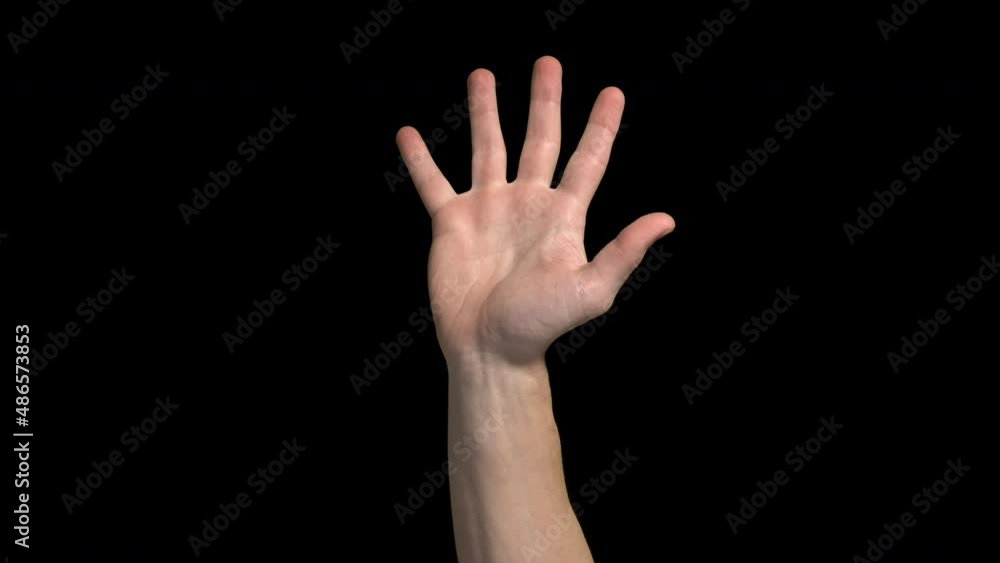 Male Hand Being Raised Gesture Male Hand Being Raised Gesture
