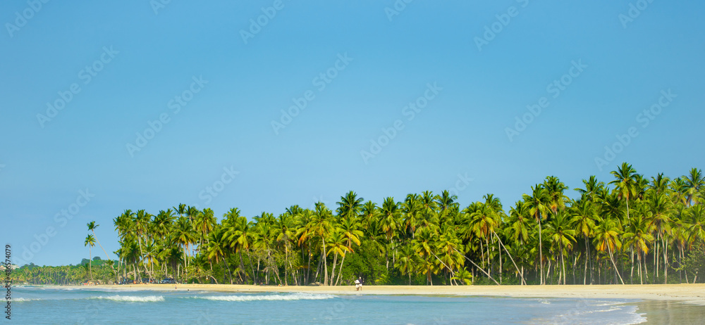 Palm beach of Central America with white sand. Green palm trees against the blue bright sky. Blue waves of the ocean near the tropical coast. Marine outdoor recreation.