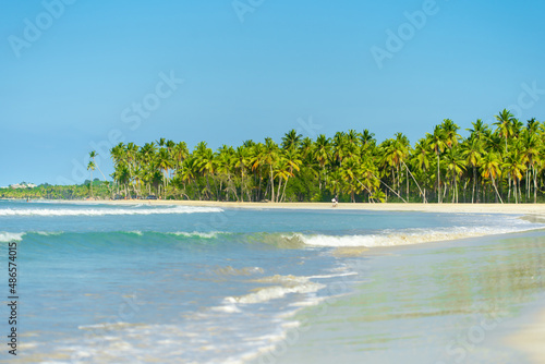 Fototapeta Naklejka Na Ścianę i Meble -  Blue sea waves at the palm beach. Coast for outdoor activities and travel. Sunny day on a tropical peninsula. Scenic landscape of wild nature. Island beach background.