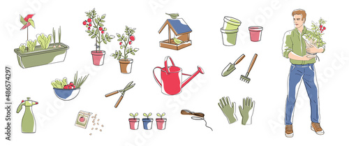 Man with tomato plant in pot and set elements about growing vegetables on balcony,gloves, garden tools, watering can, pots, plants in a container, linear illustration with colour shapes.