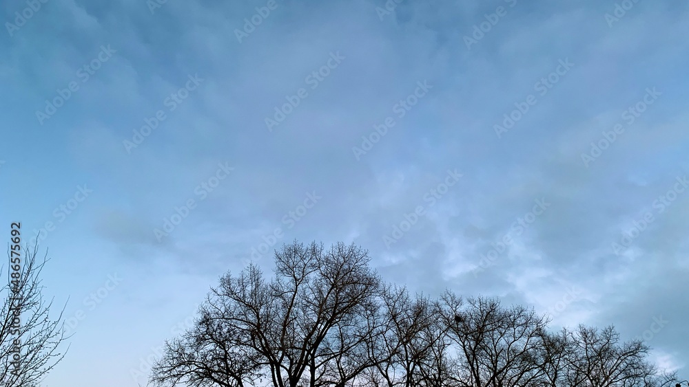 Early sunset in cold weather, winter blue sky with lifeless trees and dry branches Early sunset in cold weather, winter blue sky with lifeless trees and dry branches