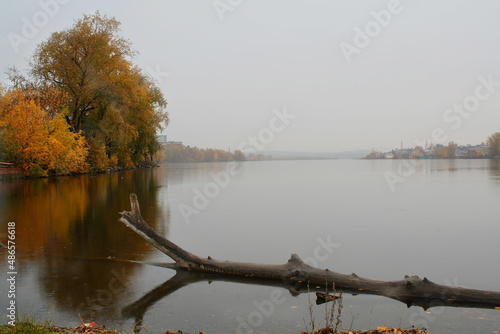autumn trees on the lake