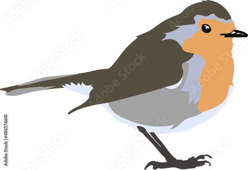Oiseau Robin bird - Rouge Gorge pour illustration, dessin, vecteur sur fond transparent.