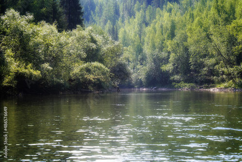 lake in the forest