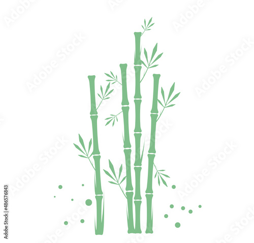 Fototapeta Naklejka Na Ścianę i Meble -  Bamboo Plant Illustration icon