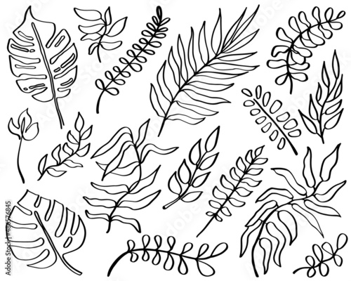 One line drawing leaves set in doodle style. Line art hand drawn black plants. Modern exotic summer botanical illustrations. Monstera, palm, banana tropical leaf. Vector