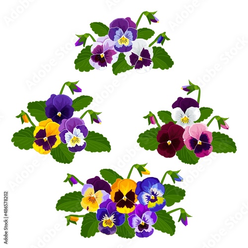 Sets Pansies bouquets, flower arrangements. Flowers yellow, blue, purple, lilac, pink, burgundy. Vector image.