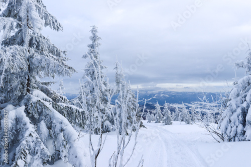 Winter mountain landscape with cloudy sky and snowy trees. Silesian Beskids, Poland.