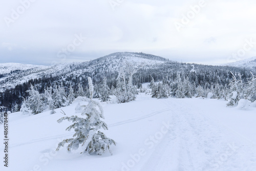 Winter mountain landscape with cloudy sky and snowy trees. Silesian Beskids, Poland.