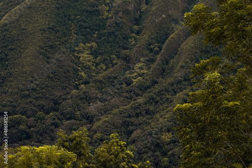 Panoramic nature landscape from Iao valley in wahiee forest on Maui island, Hawai.