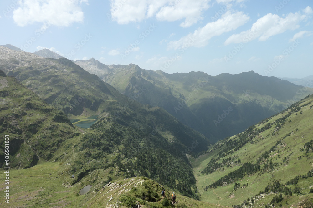 Naklejka premium lacs