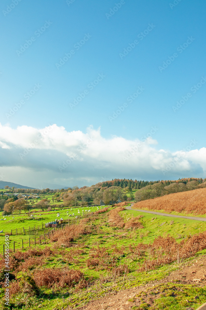 Autumn landscape in the Welsh hills.