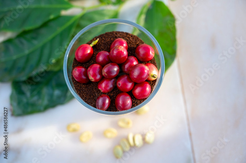 Red ripe arabica coffee berries, green coffee beands, leaves and roasted ground coffee in glass on marble table photo