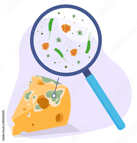 Moldy cheese triangle piece with magnifying glass and germs isometric vector illustration