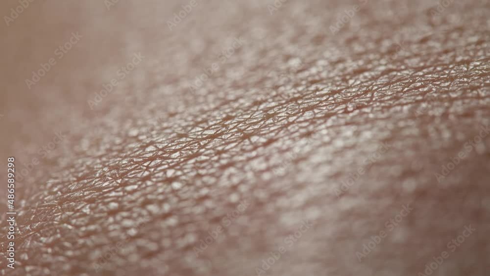 Hand skin texture close-up. Arm surface macro shooting. Body and healthcare, hygiene and medicine concept. Hand skin texture close-up. Arm surface macro shooting. Body and healthcare, hygiene and medicine concept.