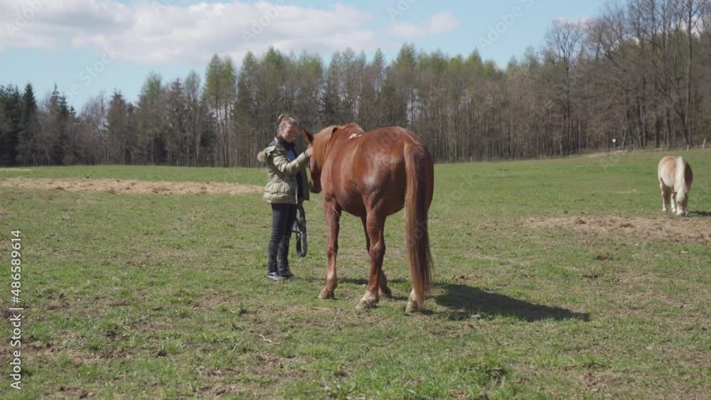 Horses in the paddock in nature, woman summons horses Horses in the paddock in nature, woman summons horses