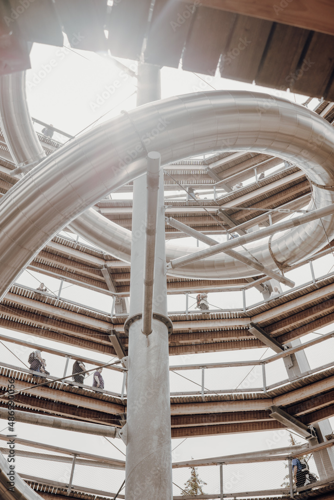 Obraz premium Wildline