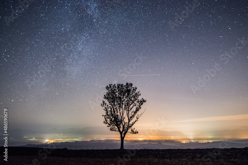 starry night sky whit tree and Milky Way, Turiec, Slovakia, Europe