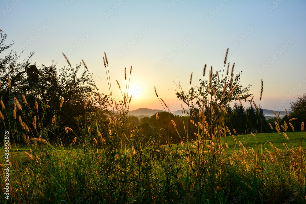 Sunrise in a green landscape with a meadow