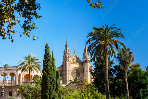 View of the Cathedral of Palma de Mallorca photo