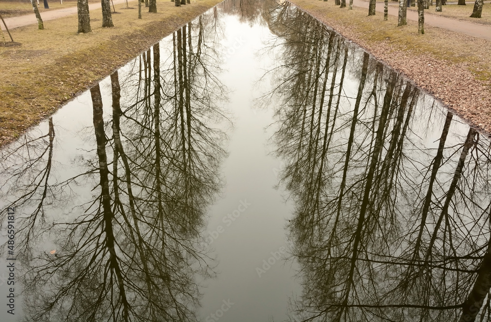Naklejka premium Small forest stream in the forest in winter. Russia, Leningrad region
