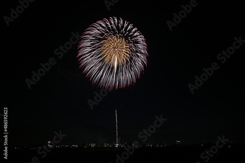 日本の花火の饗宴