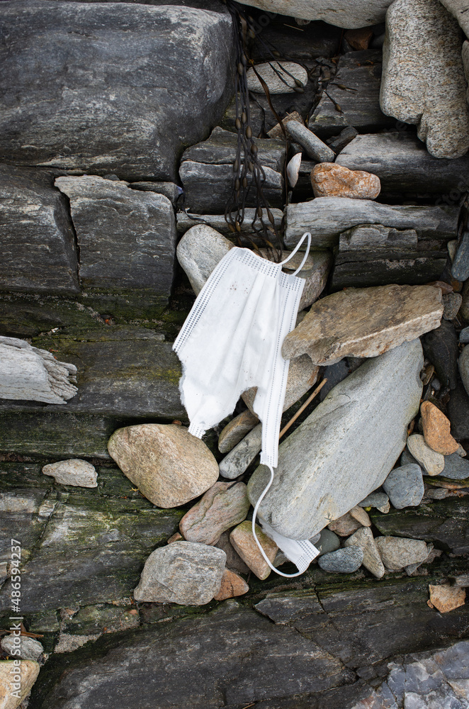 Discarded Mask on Rocky Shoreline, Coast of Maine Discarded Mask on Rocky Shoreline, Coast of Maine