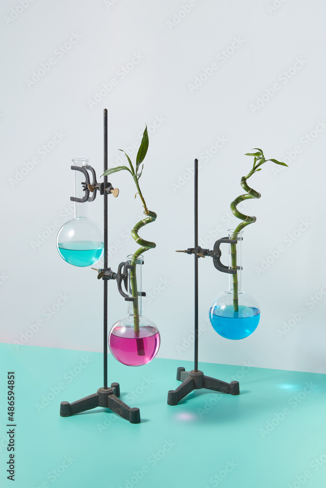 Bamboo twigs in chemical reagents Bamboo twigs in chemical reagents