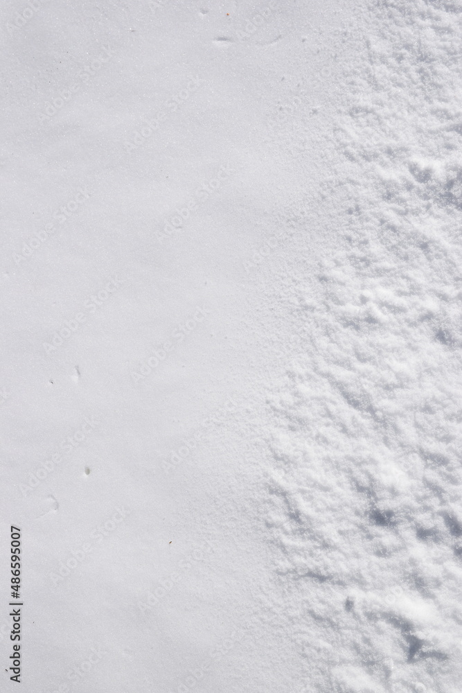 Snow texture Snow texture
