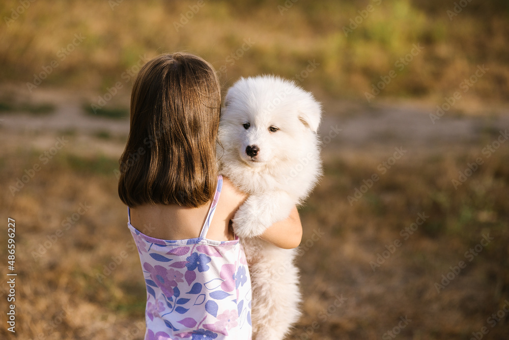 Samoyed dog and girl posing in the park. True friends together. Samoyed dog and girl posing in the park. True friends together.