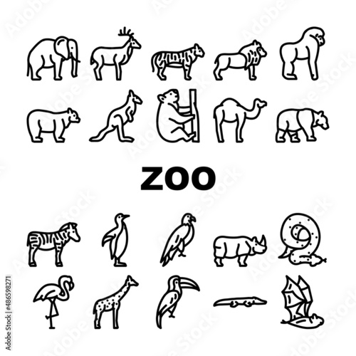 Zoo Animals  Birds And Snake Icons Set Vector. Tiger And Elephant  Bear And Panda  Zebra And Kangaroo  Toucan And Eagle  Crocodile And Giraffe Zoo Animals Black Contour Illustrations