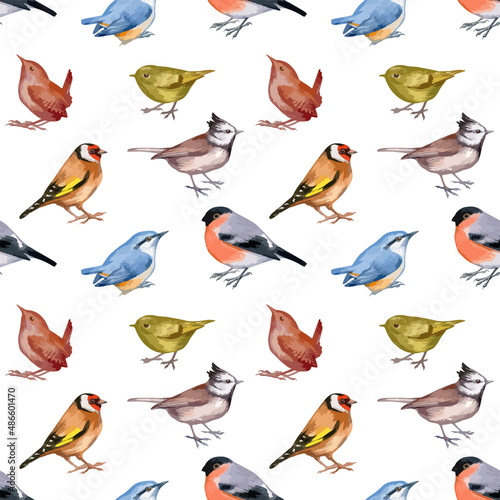 Vector illustration of seamless pattern with forest birds