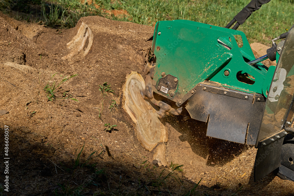 Stump grinding machine in use Stump grinding machine in use