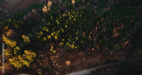 drone sunset topdown over road in forrest trees germany golden cars ebersteinurg