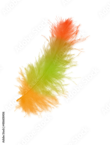 Colored feathers background - high resolution