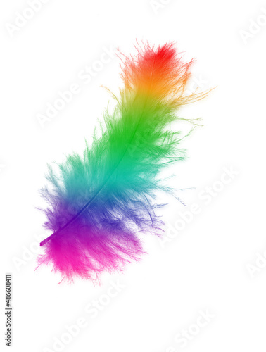Colored feathers background - high resolution