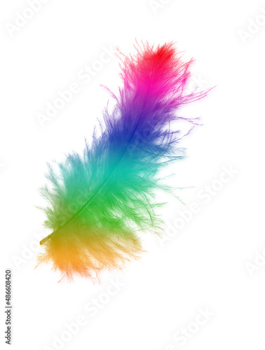 Colored feathers background - high resolution